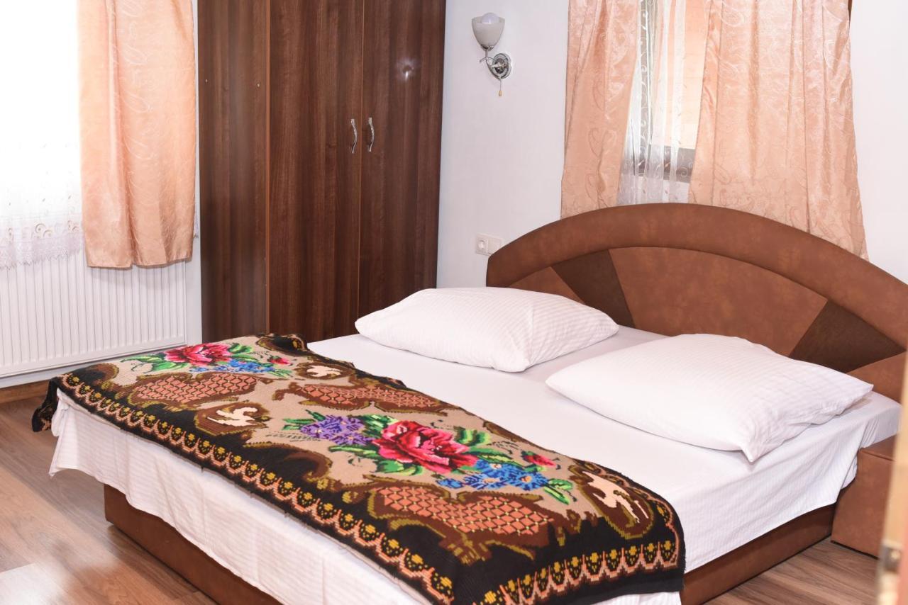 Pension Ioana Lavita バドゥ・イゼイ エクステリア 写真