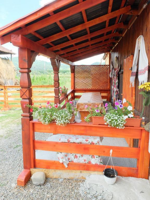 Pension Ioana Lavita バドゥ・イゼイ エクステリア 写真